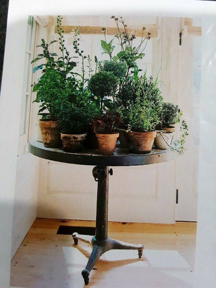 Creative Table Top Garden Ideas
