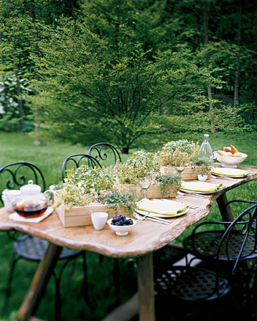 Herb Garden Indoor Design Ideas