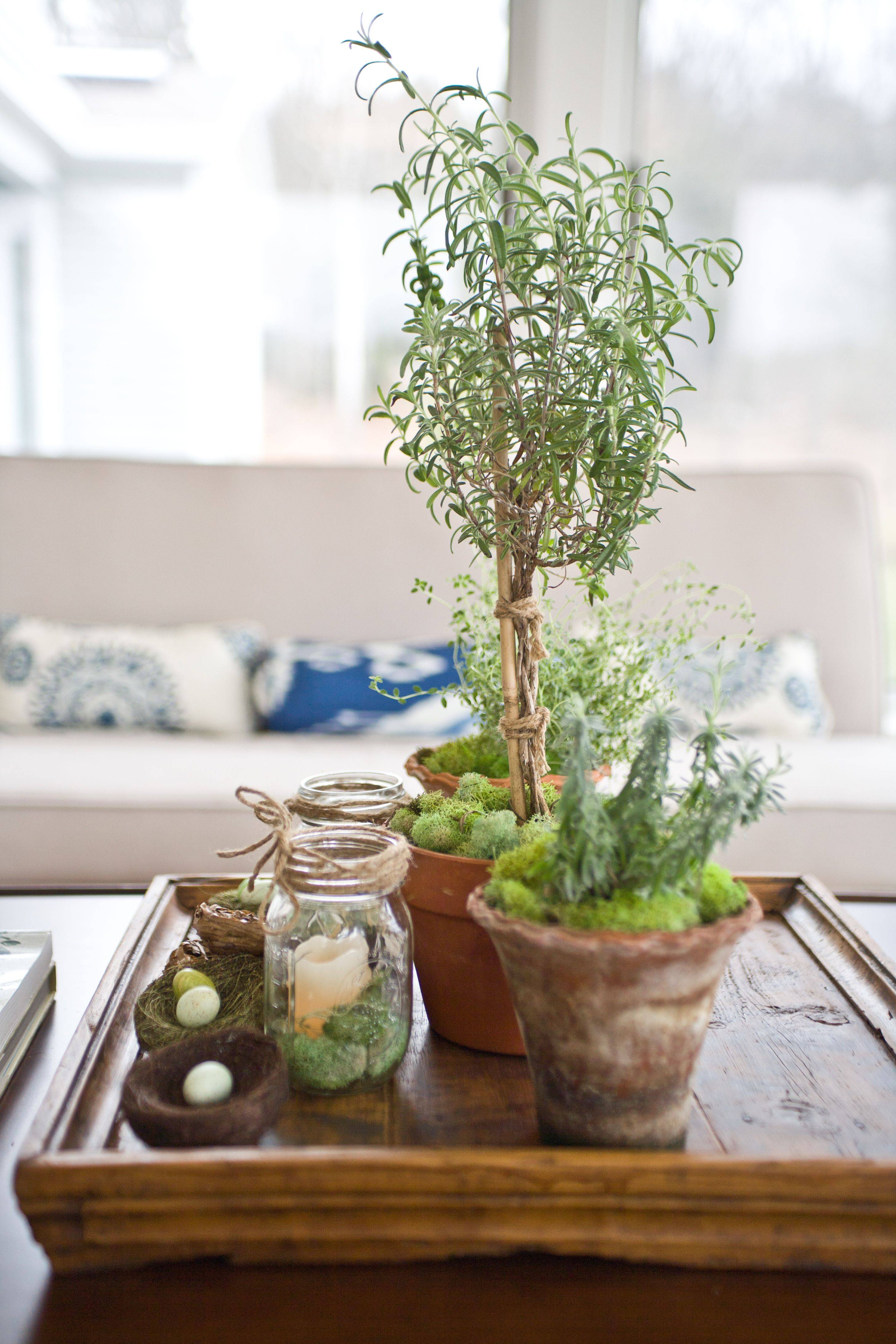 Small Indoor Herb Garden Popular Small Herb Garden