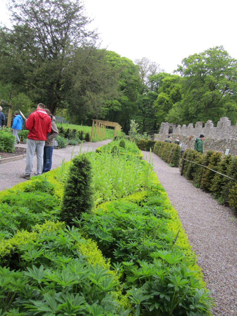 Castle Wonderful Garden