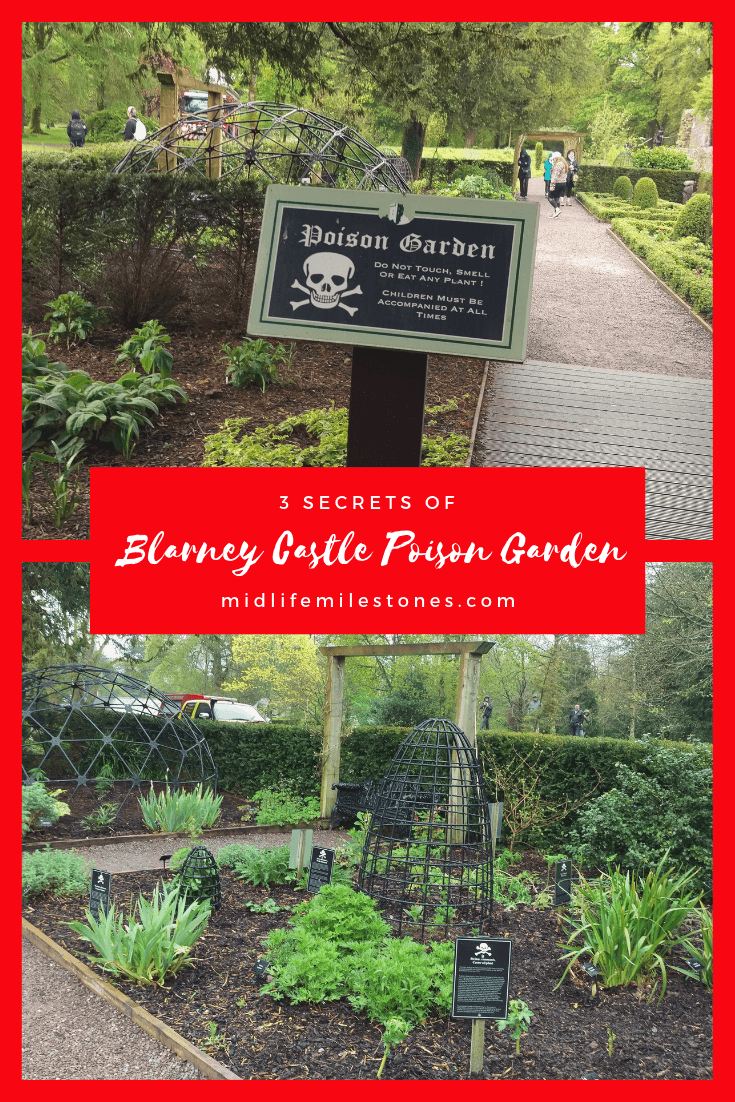 Poisongardenjpg Poison Garden