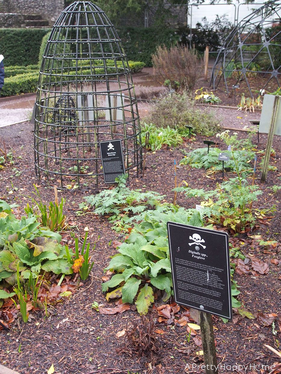 Outdoor Structures