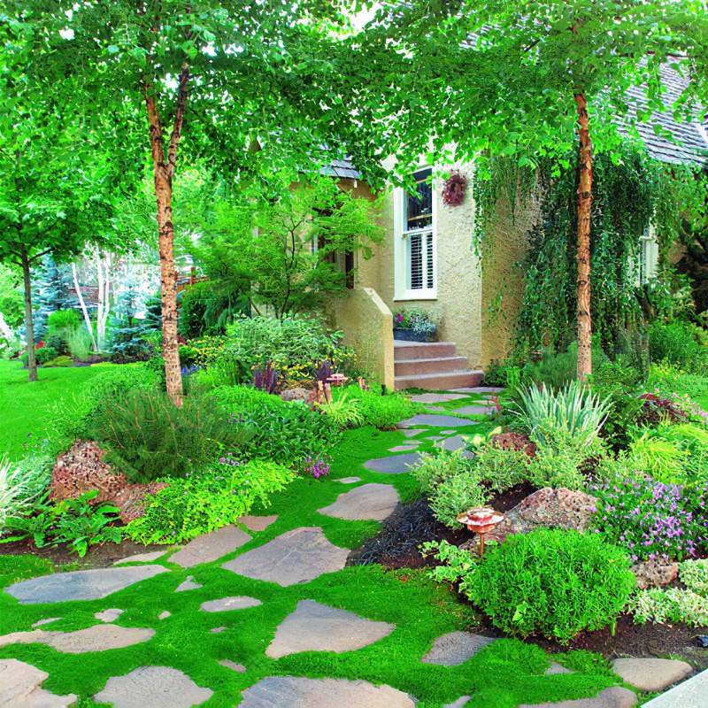 Garden Ideas