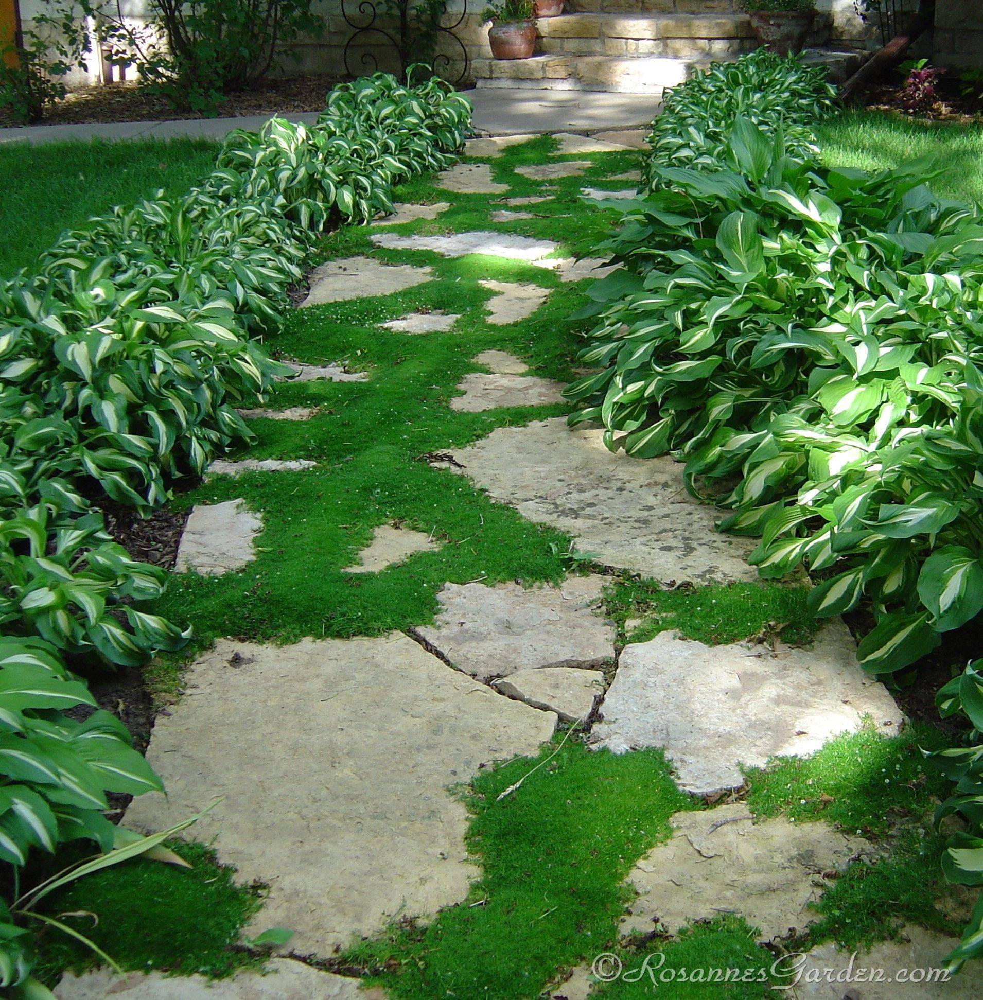 Outdoor Decor