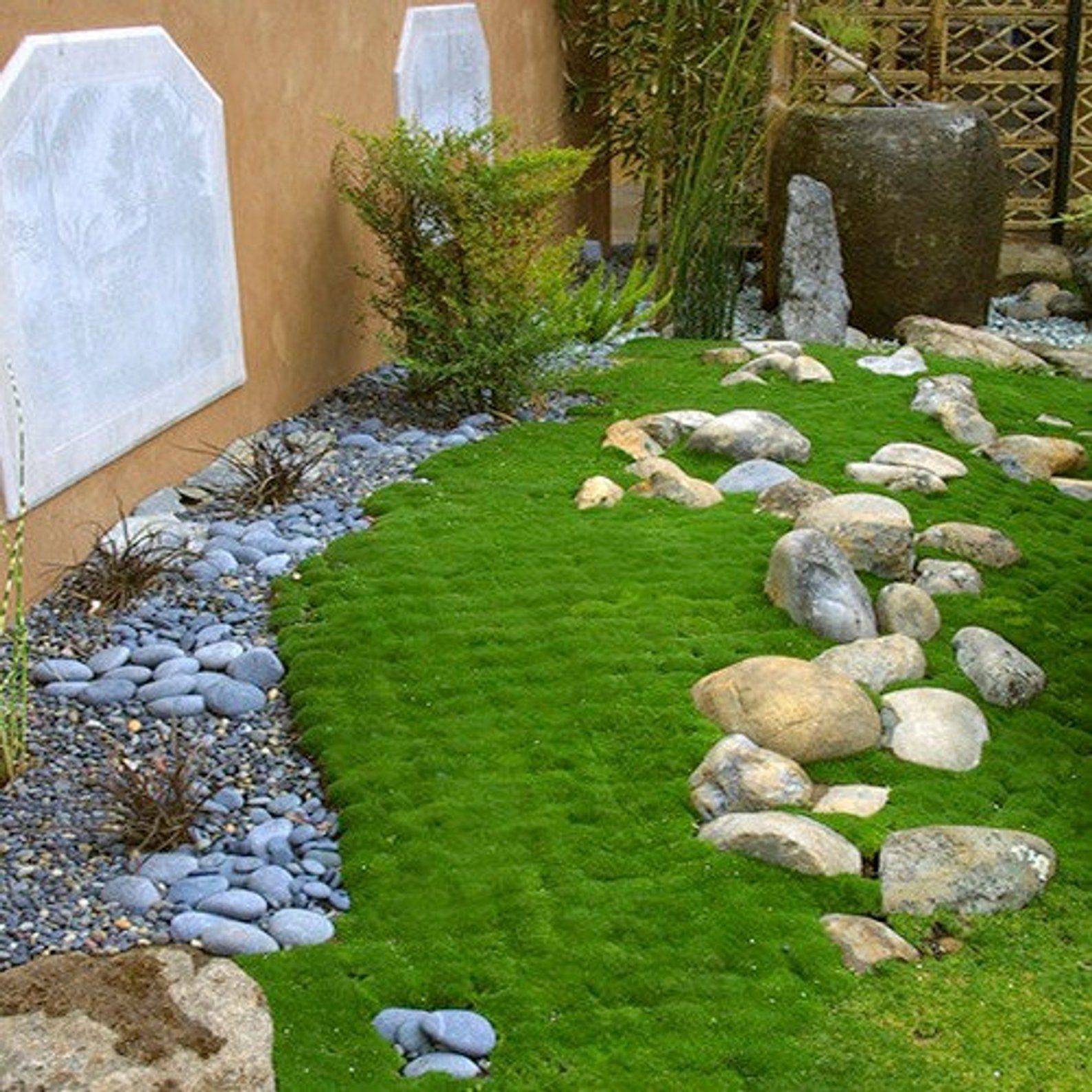 Moss Garden Ideas