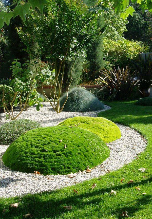Pin On Garden