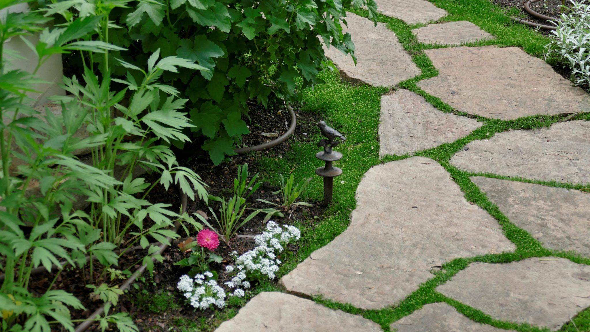 Pin On Garden