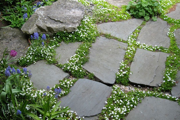 Celtic Stepping Stones Set