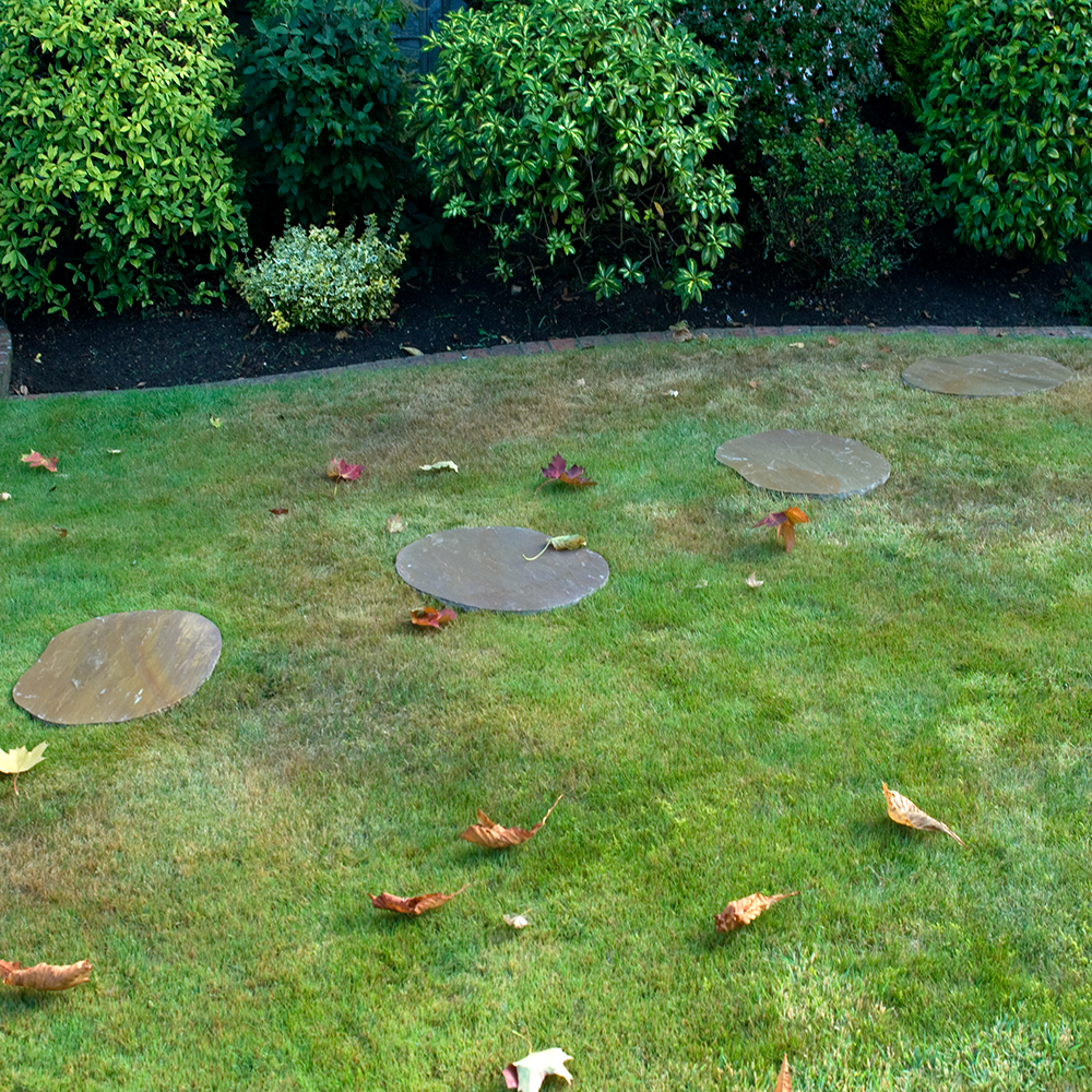 Josephs Studio Roman