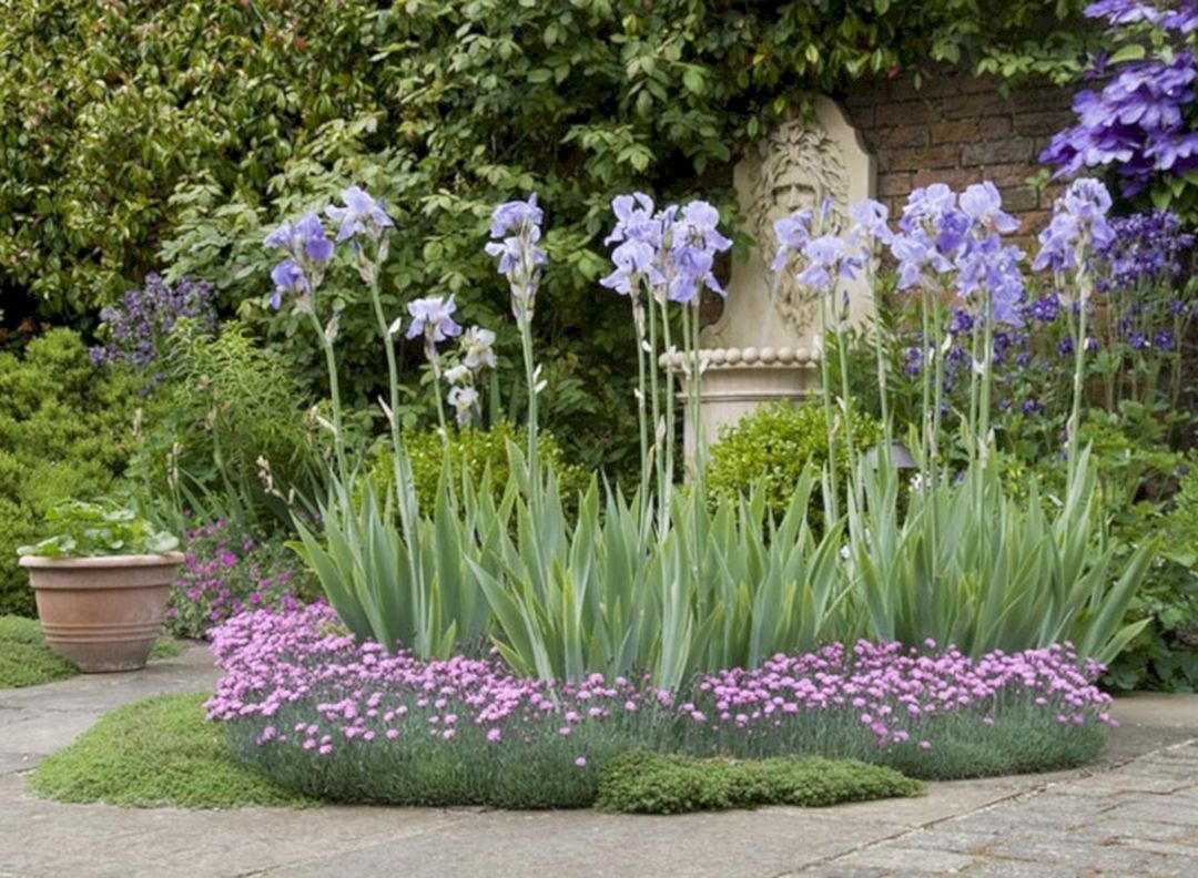Irish Garden
