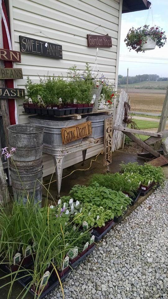 Best Primitive Landscaping Ideas Images