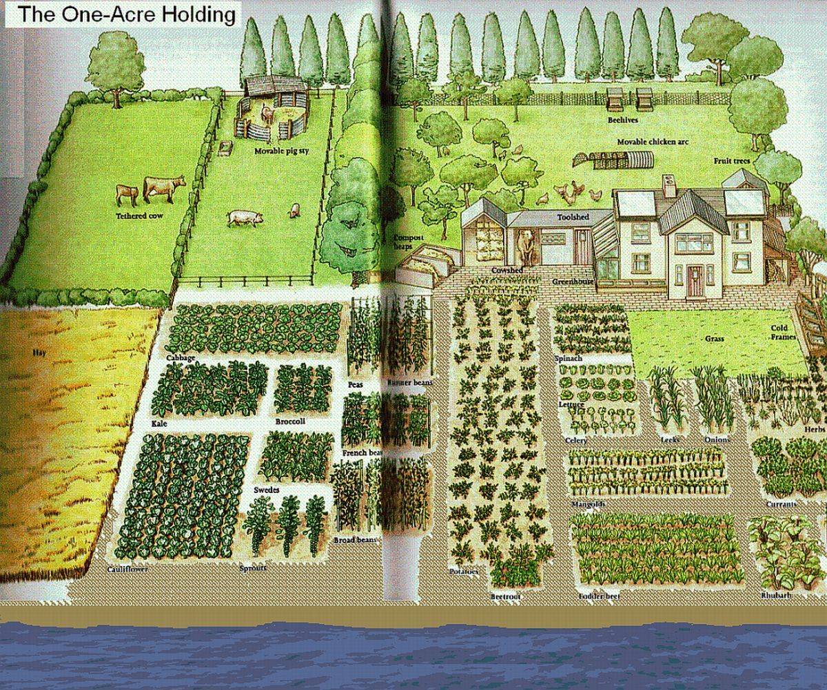 Farm Layout Design Ideas