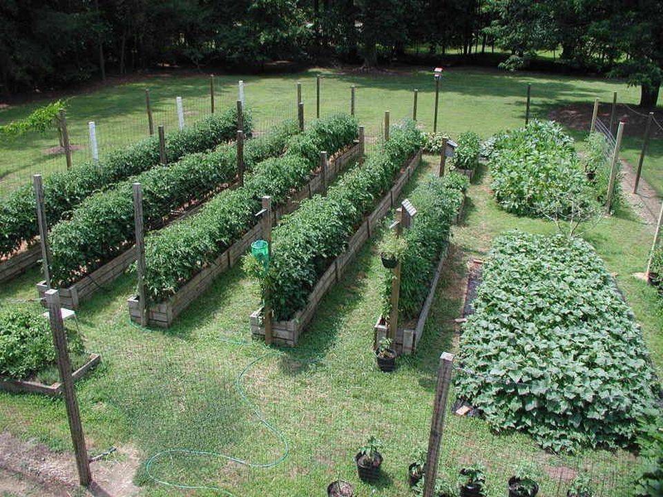 Homestead Farm Garden Layout
