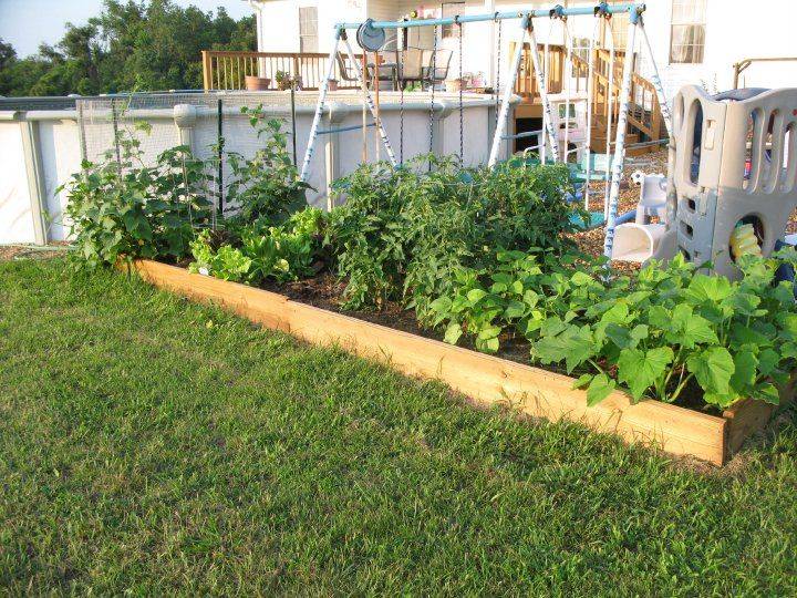 No Dig Organic Vegetable Gardening Ideas