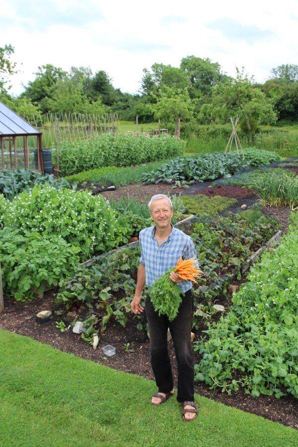 Great Vegetable Garden Ideas