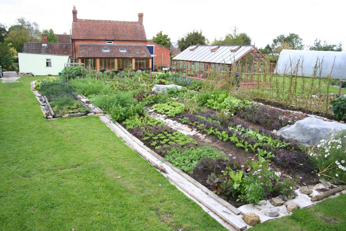 A Notill Vegetable Garden
