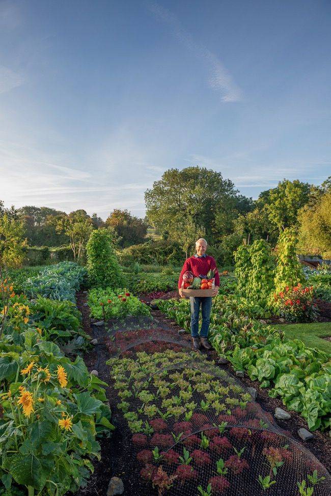 No Dig Organic Home