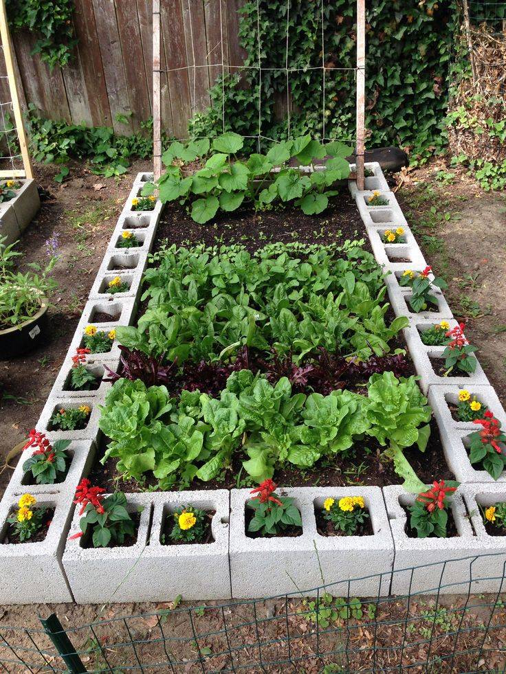 A Beautiful Raised Bed Vegetable Garden