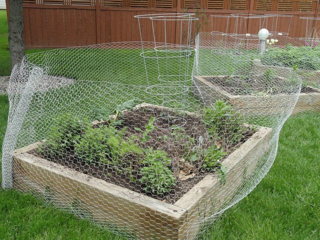 Wire Garden Fencing Ideas