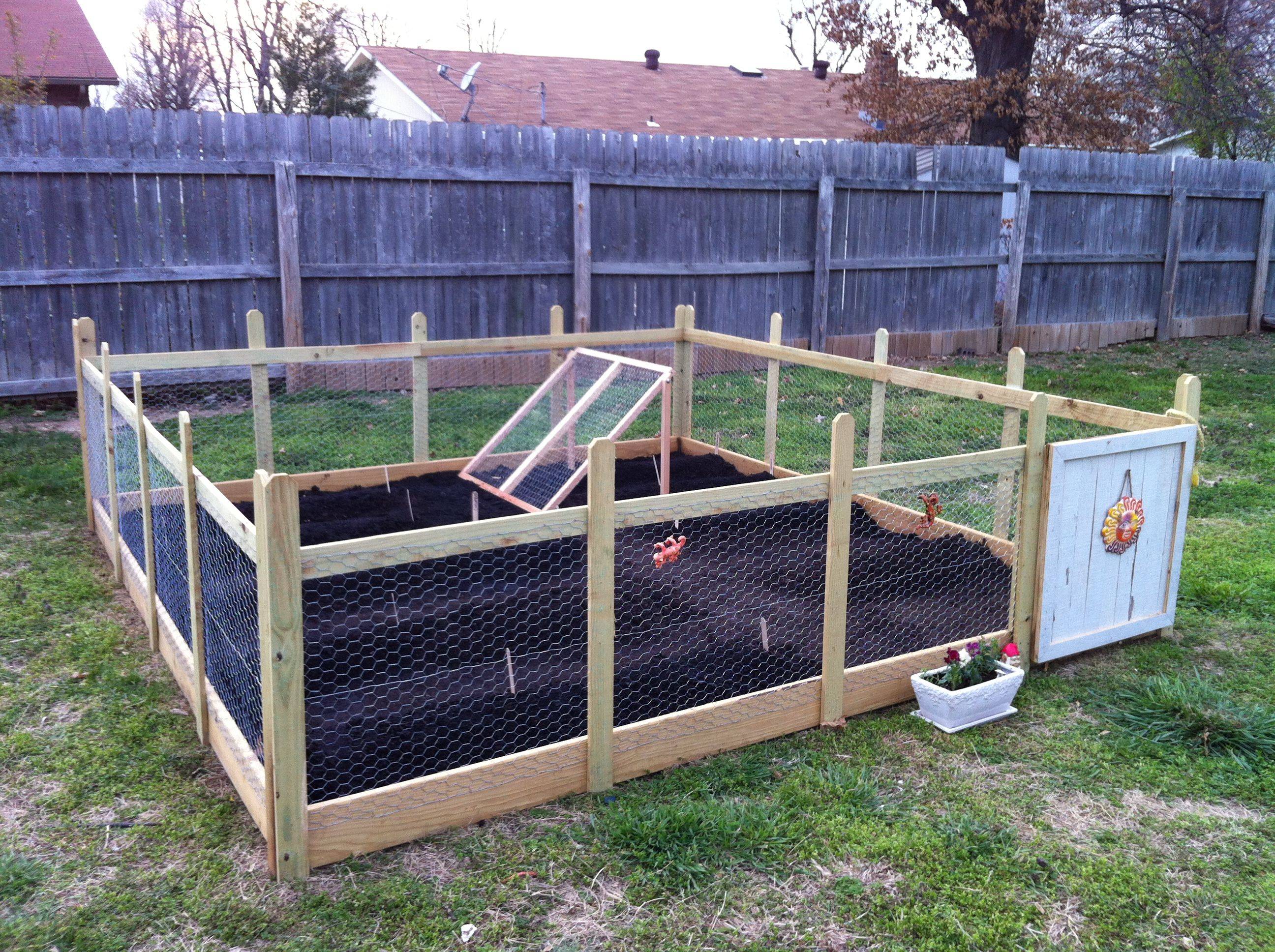 Vegetable Garden Fence Chicken Wire Interior