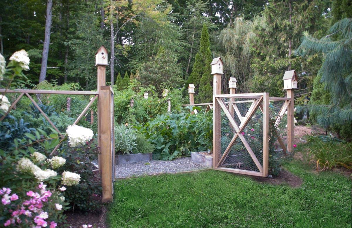 Vegetable Garden Fence Chicken Wire Interior
