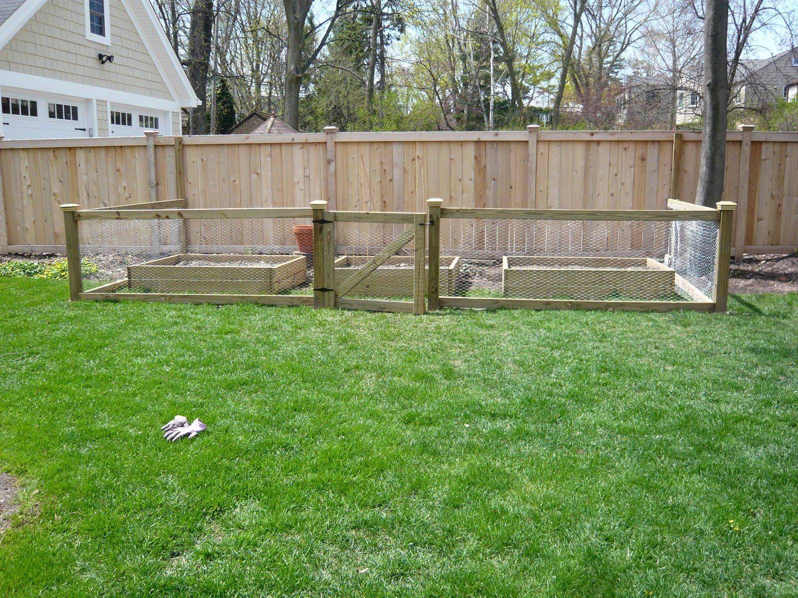 Vegetable Garden Fence Chicken Wire Interior