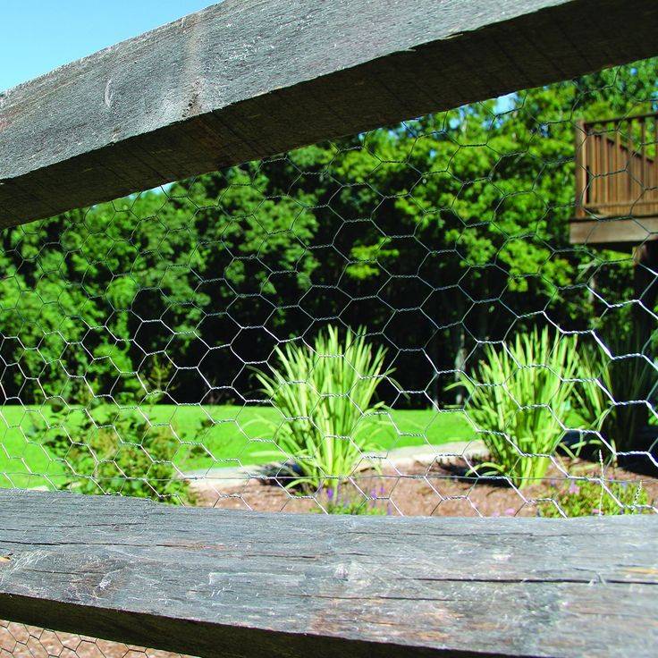 Beautiful Chicken Wire Fence Outdoor Decorations