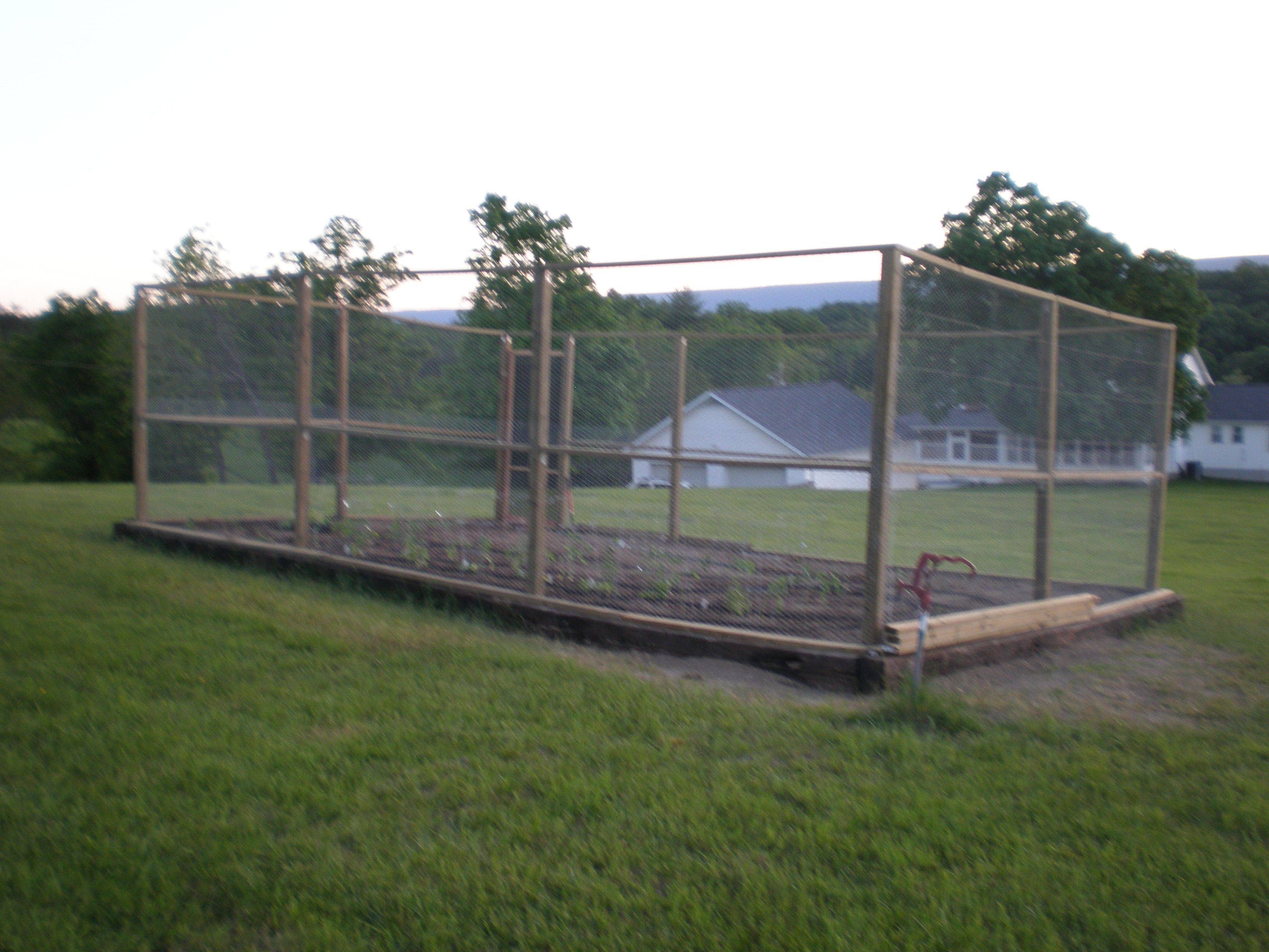 Chicken Wire Fence Garden Garden Design Ideas