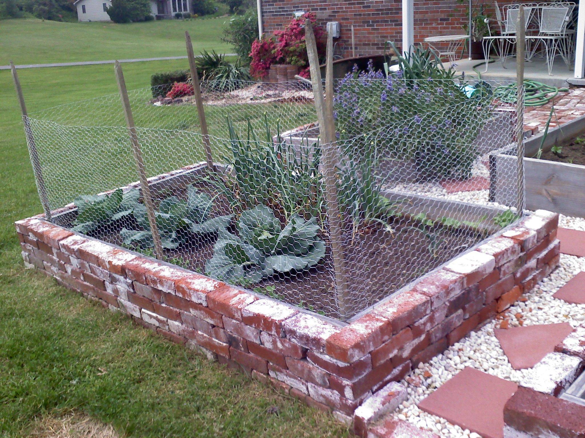 Chicken Wire Fence Ideas