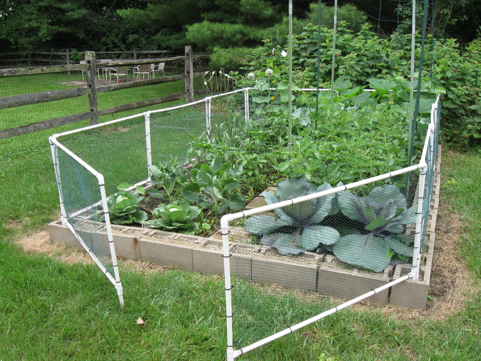 Cute Garden Fence Backyard Fences