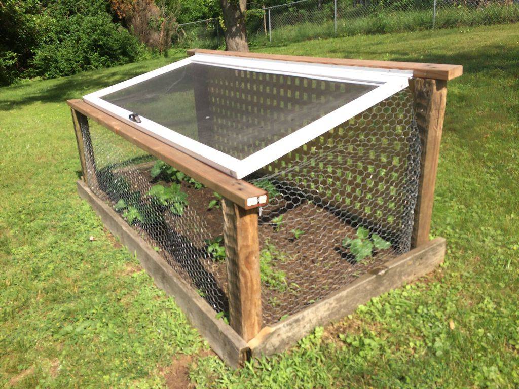 25 Chicken Wire Fence for Garden Ideas For This Year SharonSable