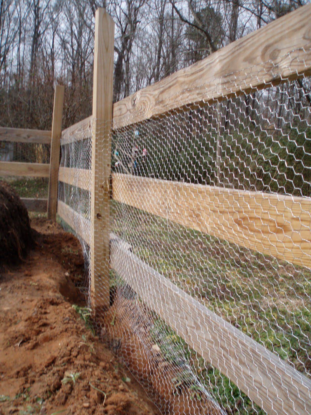 Garden Fence Chicken Wire Garden Design Ideas