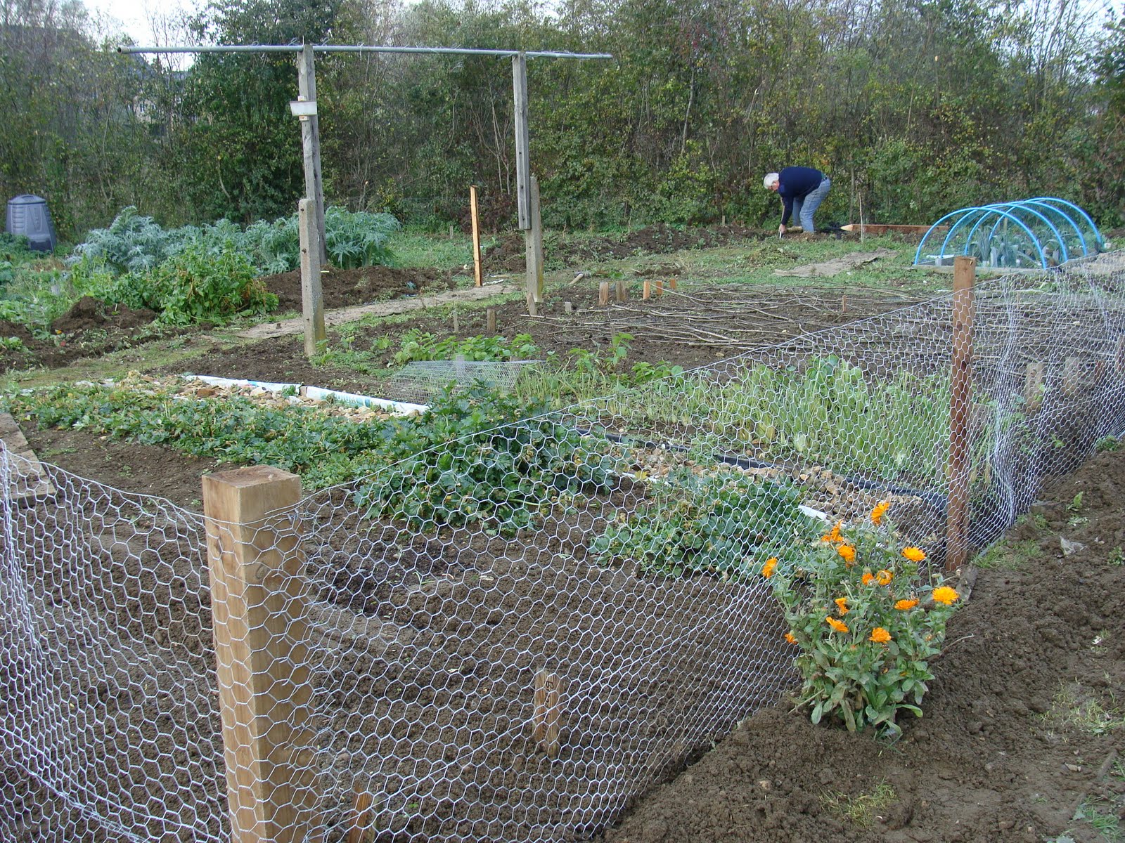 My Garden Boxes Wfence