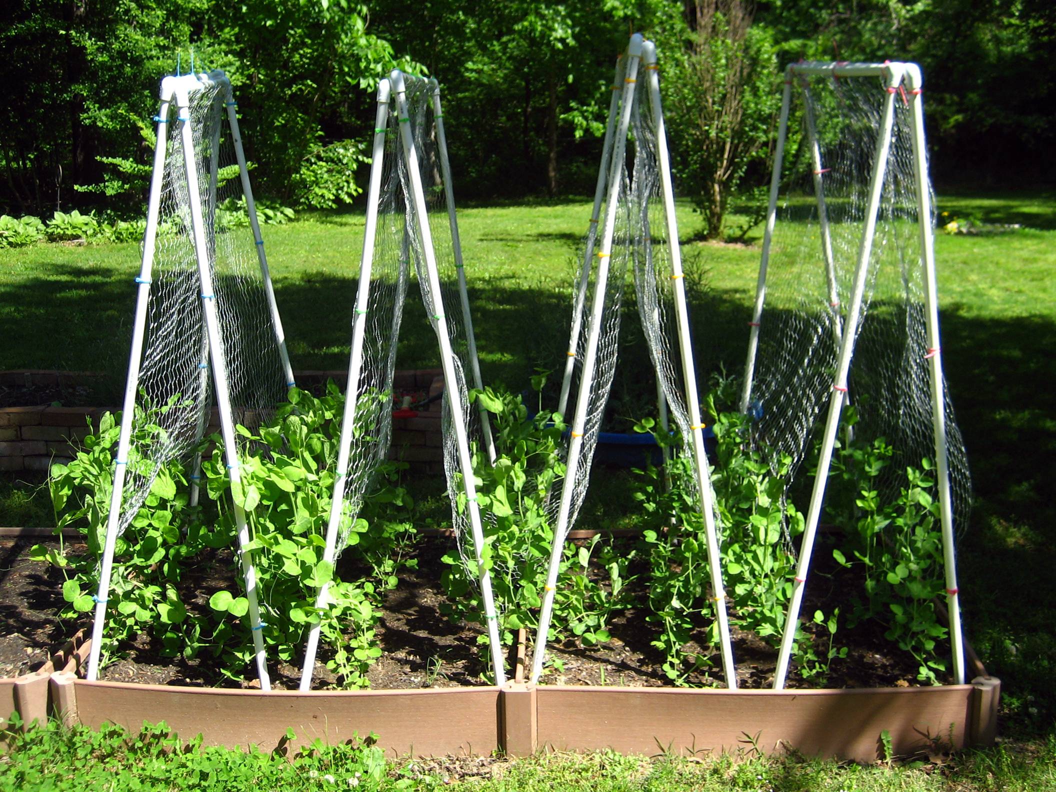 18 Garden Trellis with PVC Pipe Ideas To Consider SharonSable