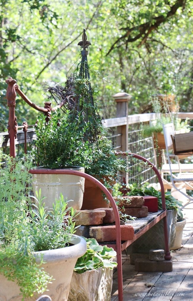 No Shop Available Garden Bench