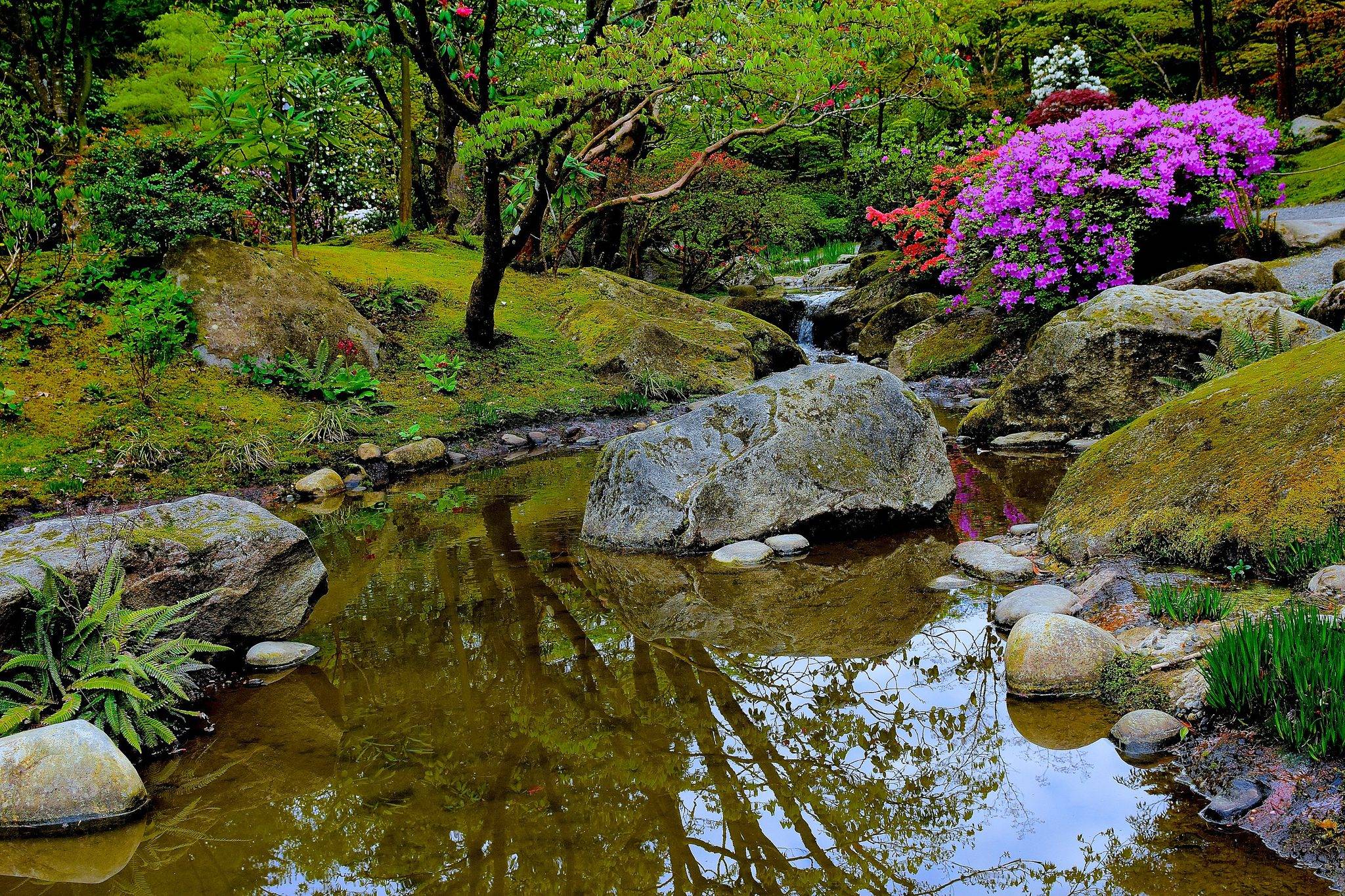 The Adachi Museum
