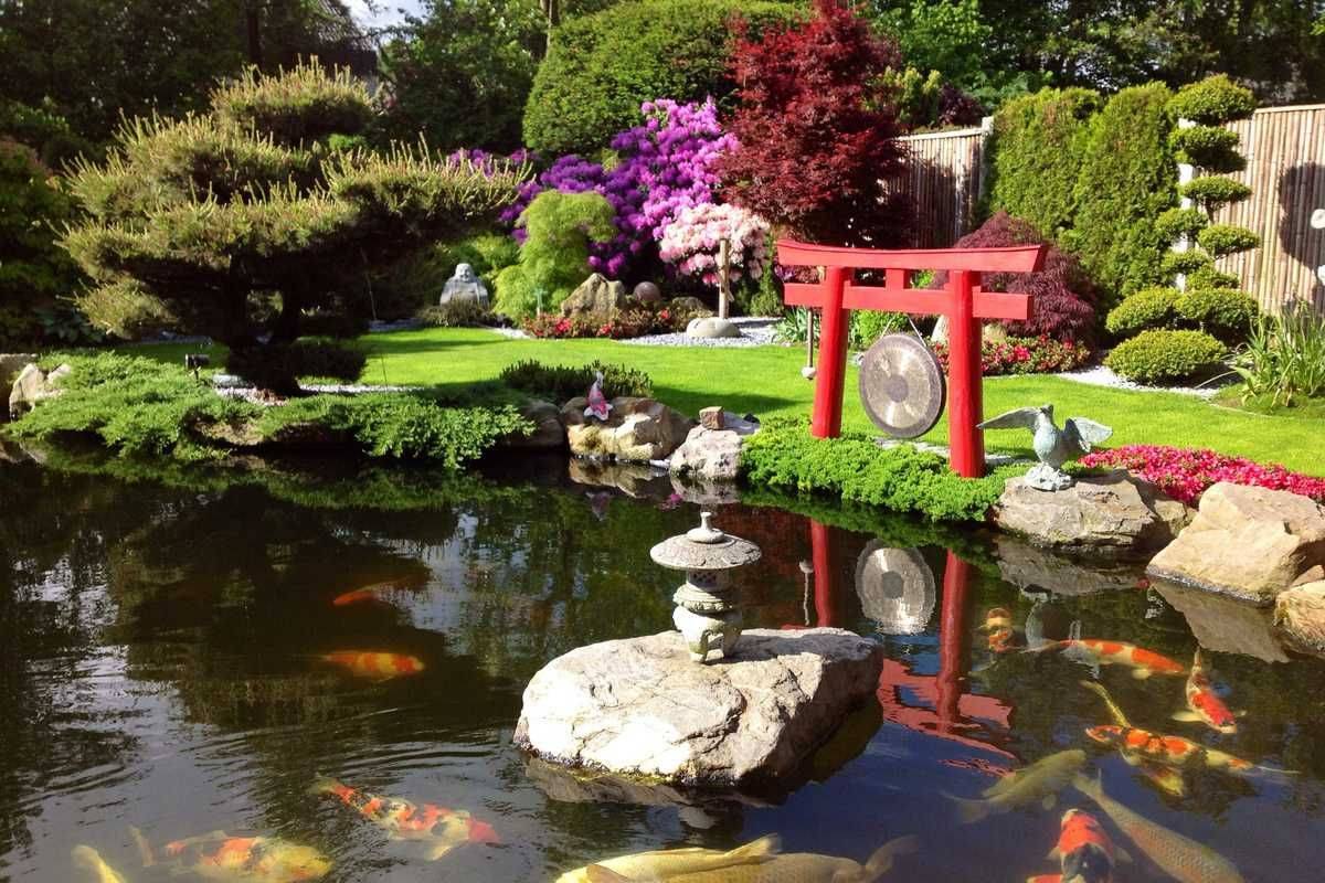 Japangartenkultur Aziatische Tuinen Homify Moderne Tuin