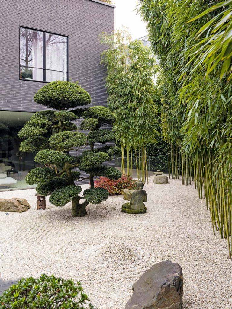 Japanse Tuin