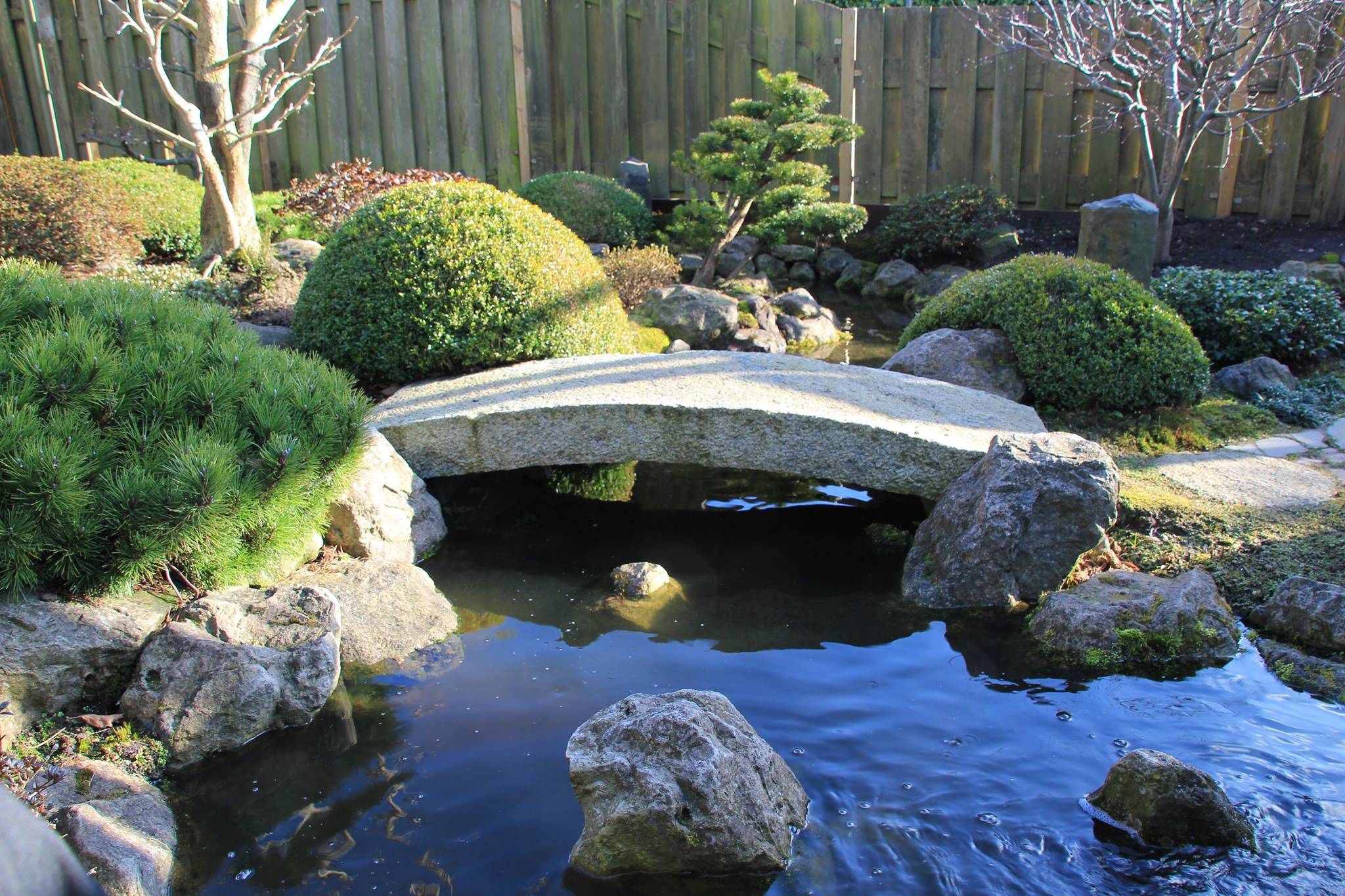 Japanse Tuin