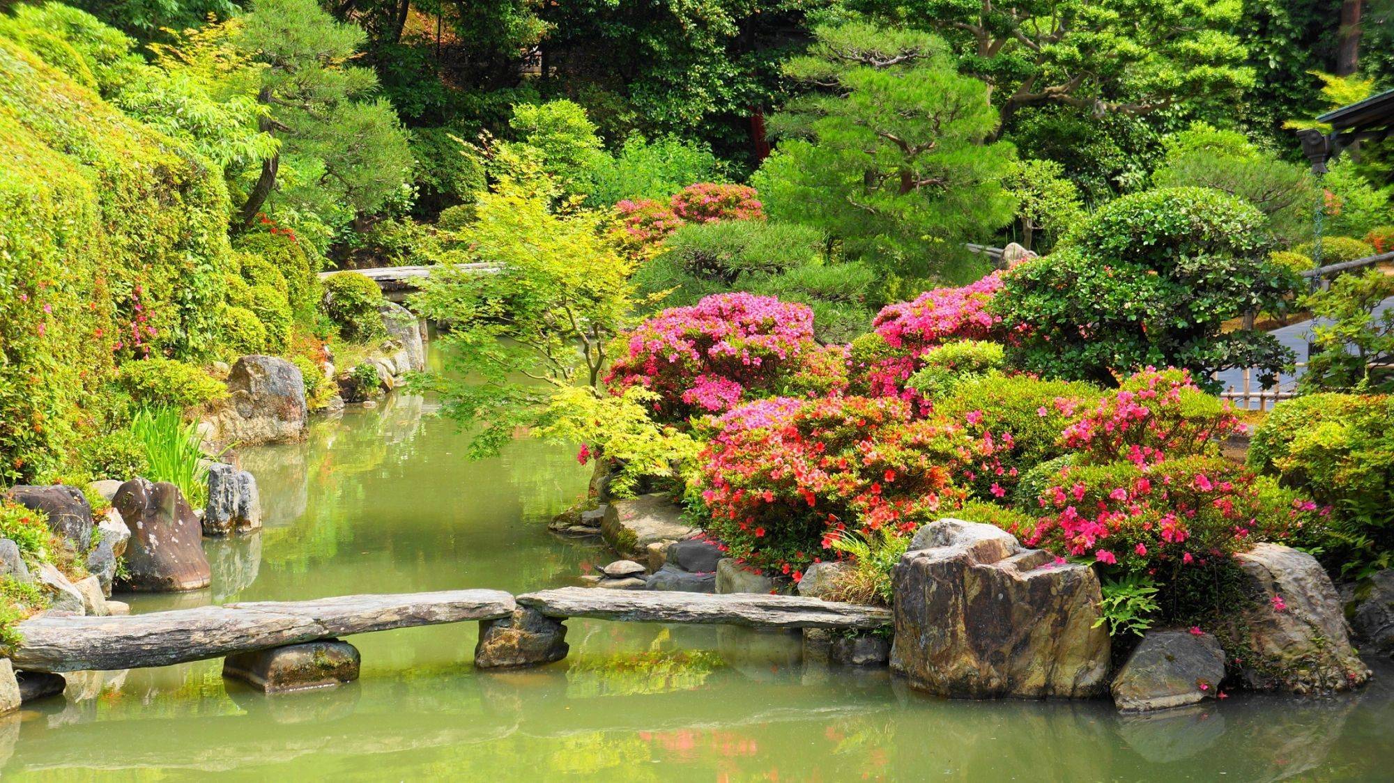Oriental Garden Japanese Zen Garden