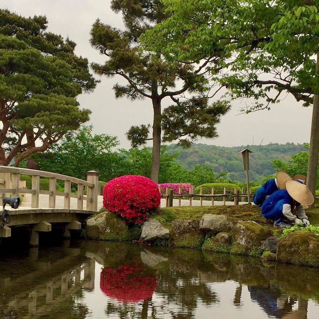 Free Kenrokuen Garden Stock Photo Freeimagescom