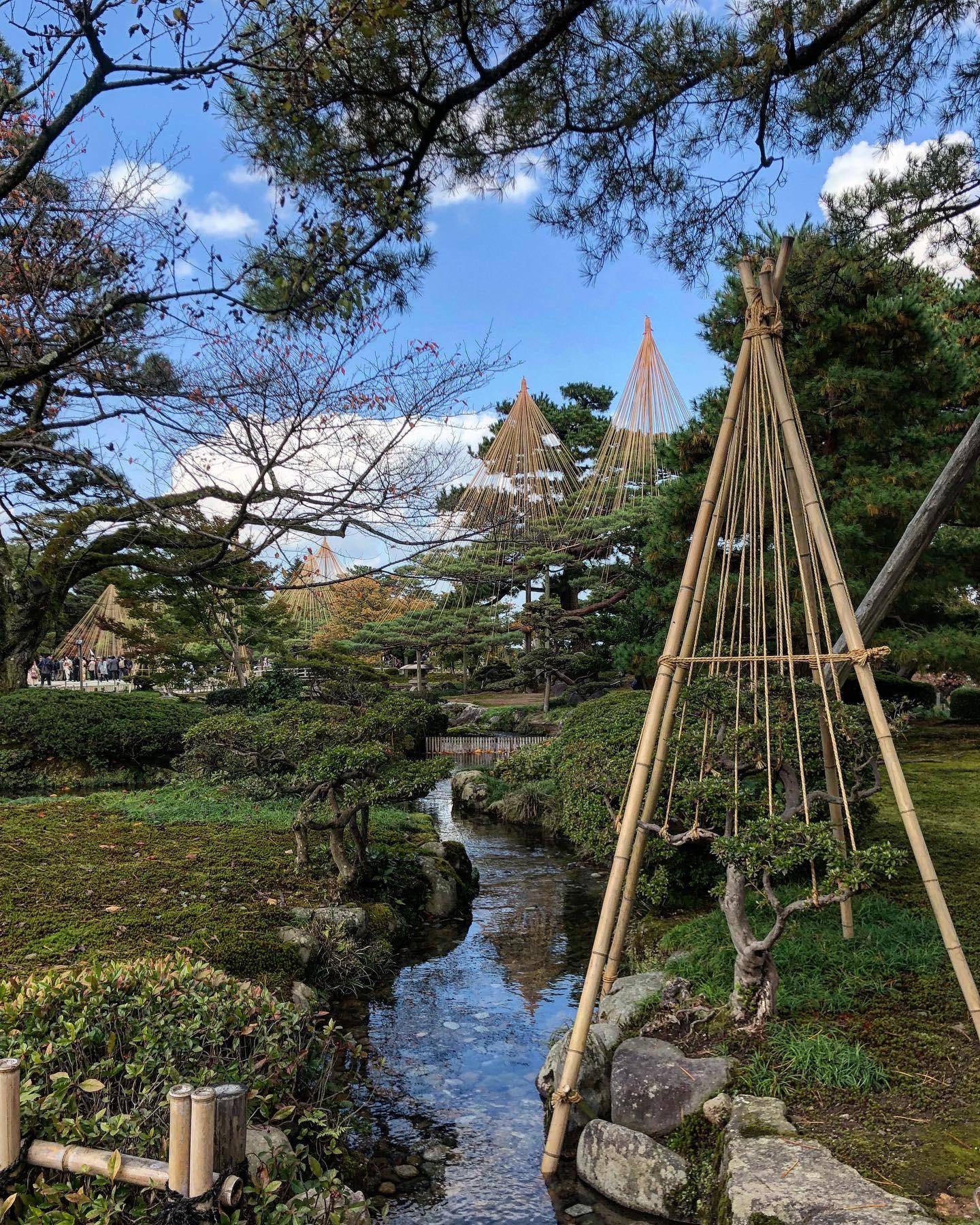 Kenrokuen Garden Autumn Light