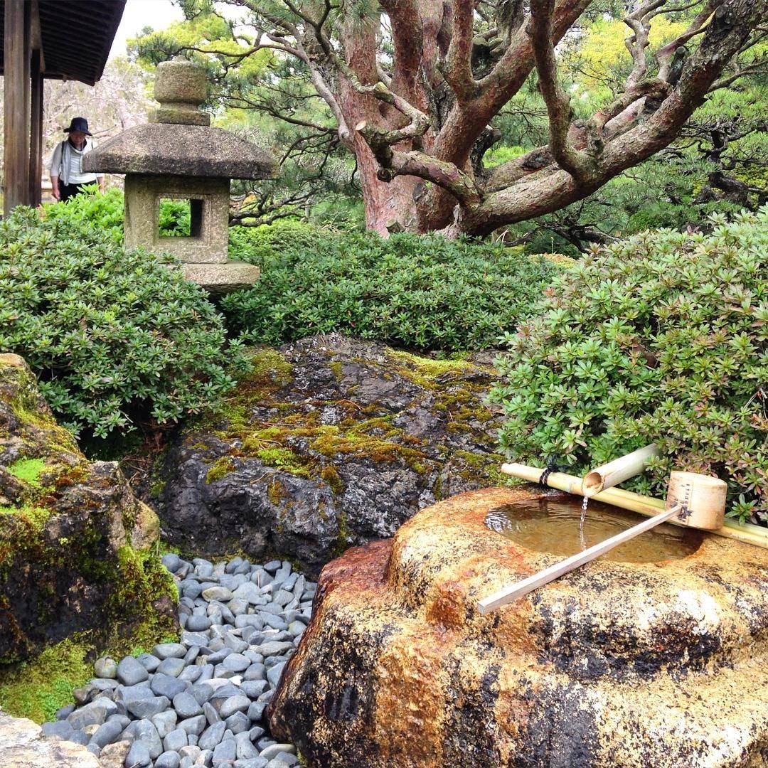 Backyard Zen Garden Ideas