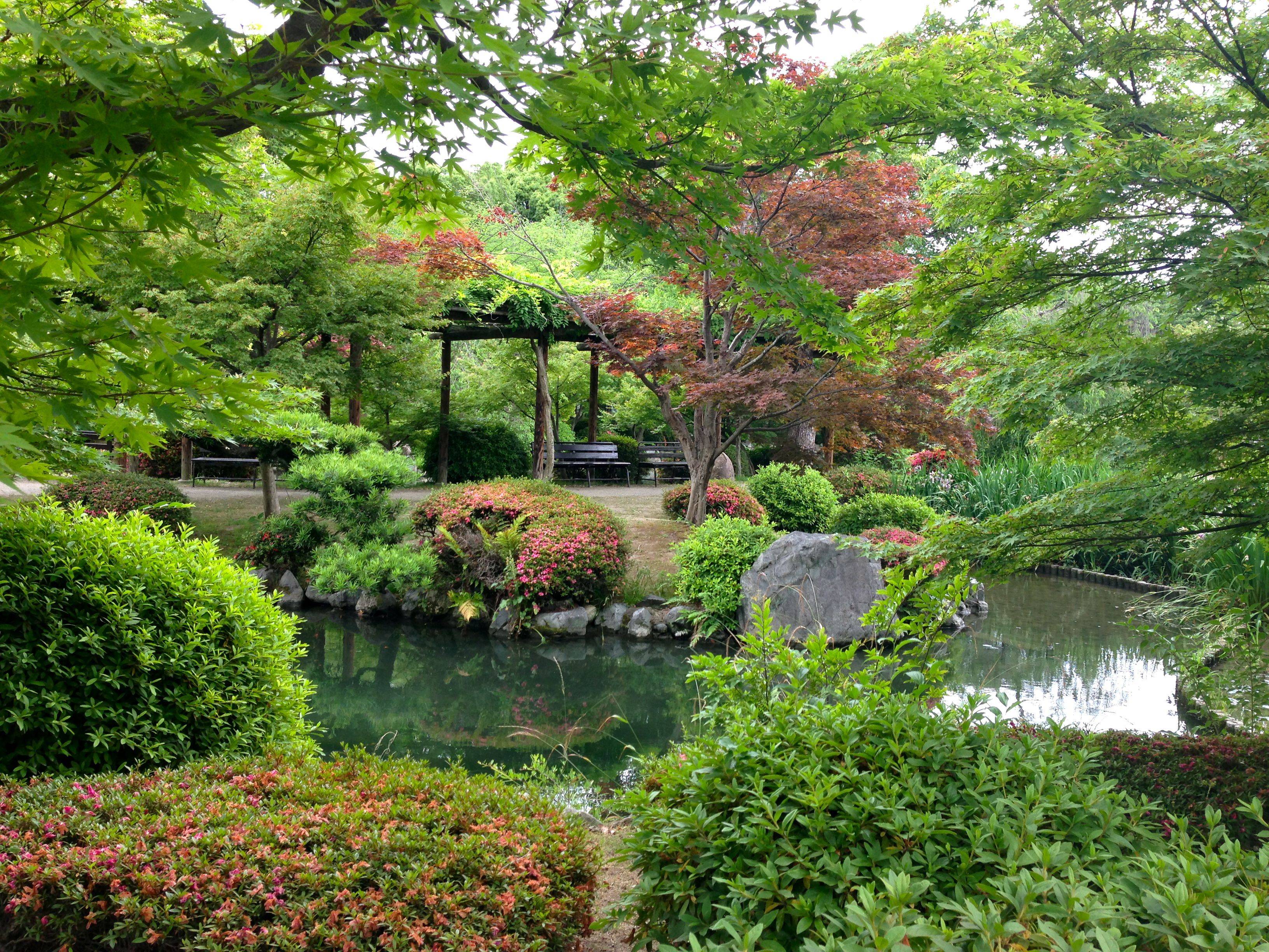 Pin On Gardenideas