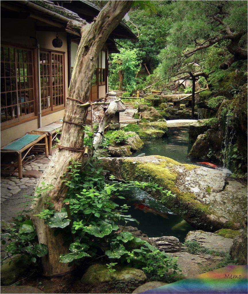Jardin Japonais