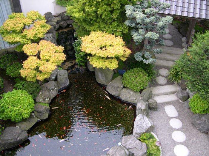 A Tranquil Feng Shui Garden