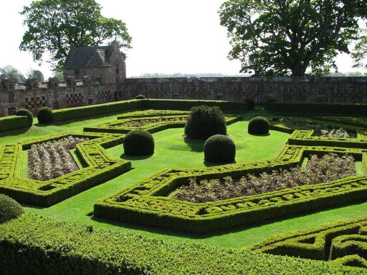 Peony Garden Designs