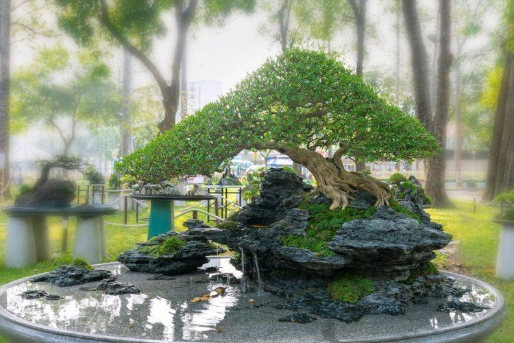 Outdoor Decor Trendehouse