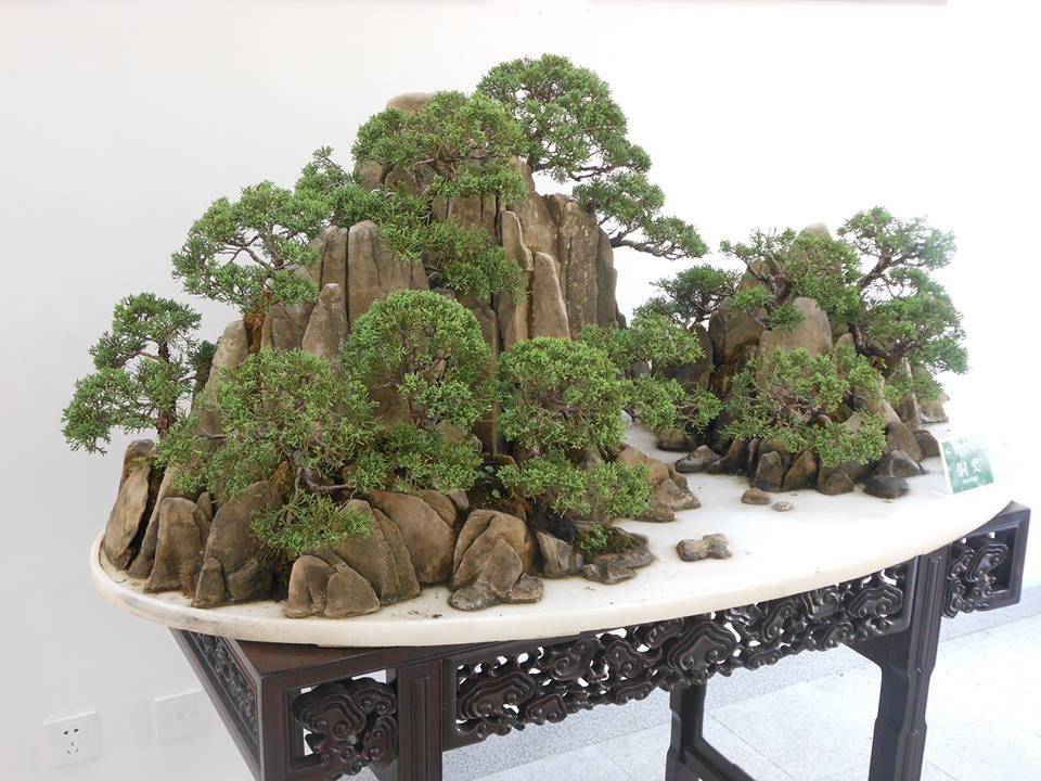 Bonsai Rock Zen Garden