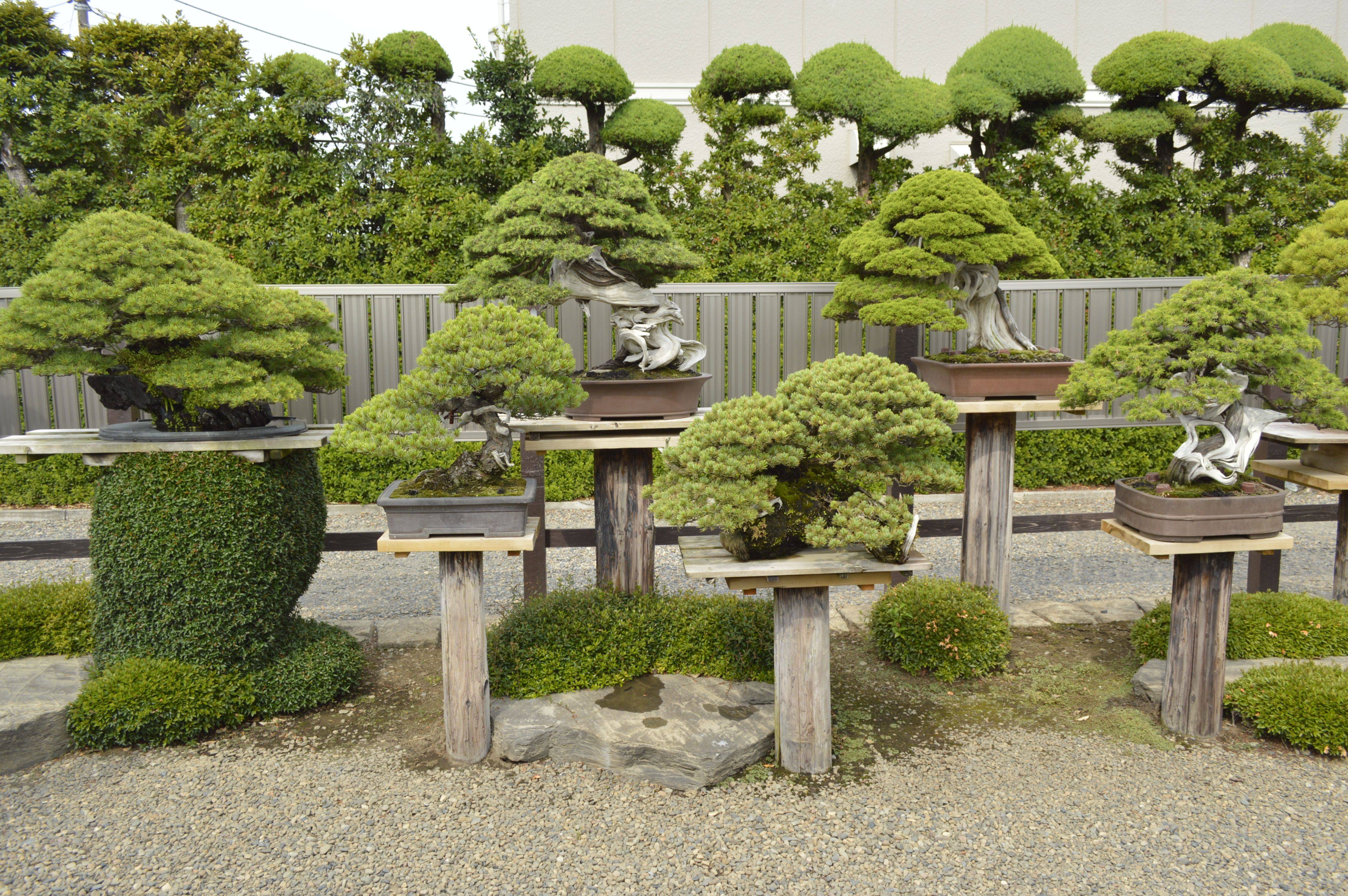 Impressive Garden Ideas